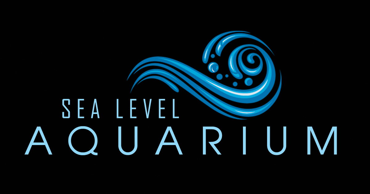 Sea Level Aquarium